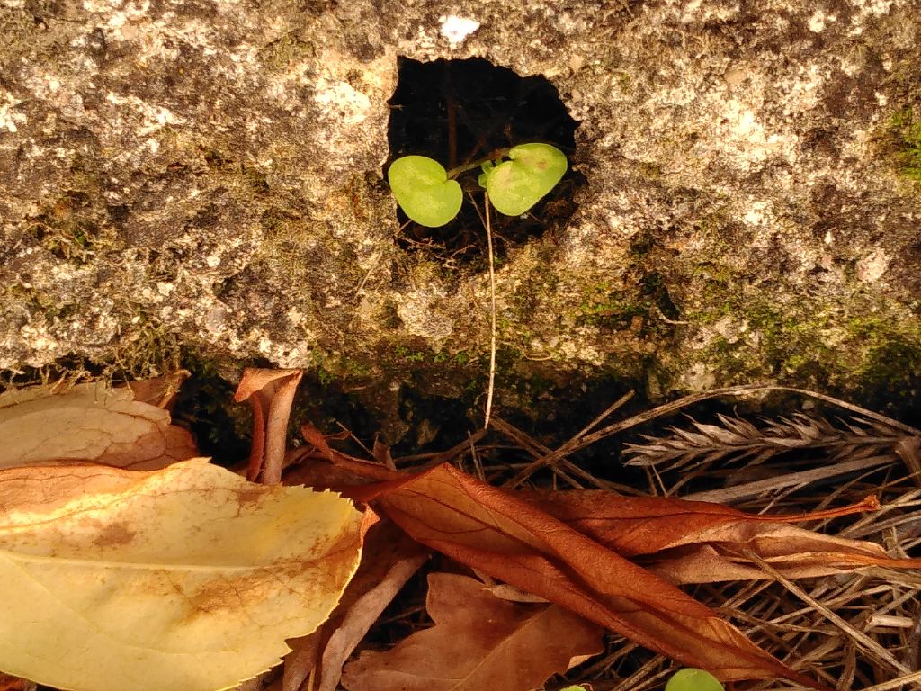 Halloween gut überstanden